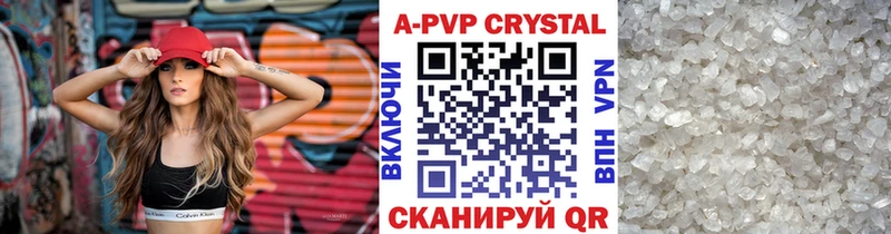 A PVP СК КРИС  Бакал 