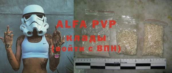 гашик Няндома