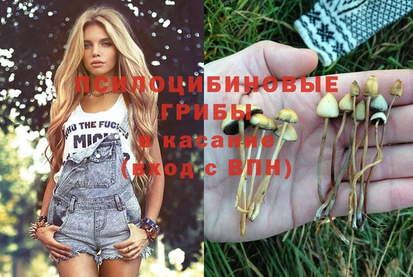 твердый Аркадак