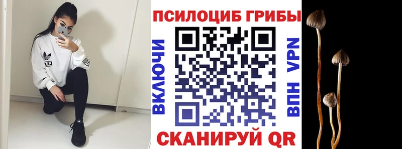 Галлюциногенные грибы MAGIC MUSHROOMS  купить наркотик  Бакал 