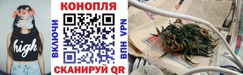 Бошки Шишки ГИДРОПОН  наркошоп  Бакал 